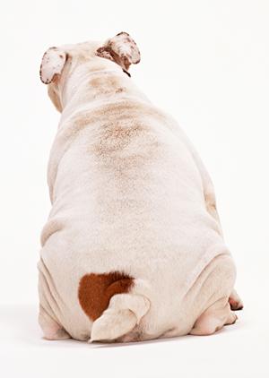 両親を見ることも可能な滋賀県のショップ