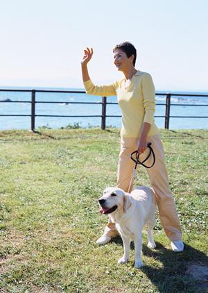 動物たちの健康を守る秦野市の病院