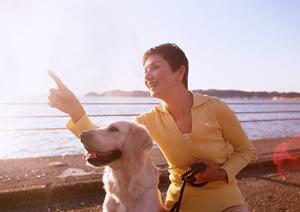 猫のダックスフントと呼ばれるマンチカン