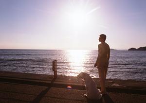 「大阪での引越しにおけるペットの安全対策ガイド：ストレスフリーな新生活を実現する方法」