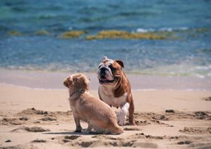 長期預かりで安心して任せる事ができます