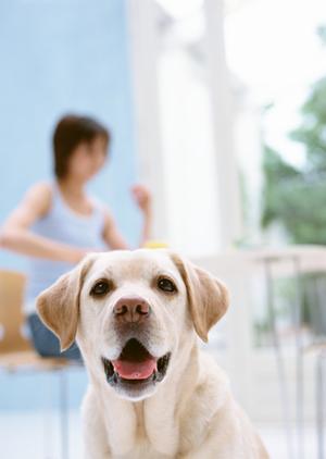 ペットと一緒に納骨をして欲しい場合