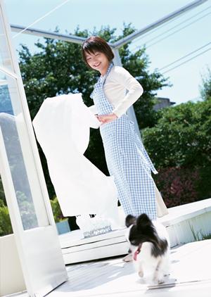 トイプードルにふさわしいドッグフード