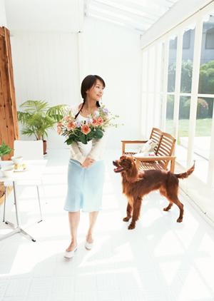 ホワイトテリアの子犬を手に入れるには