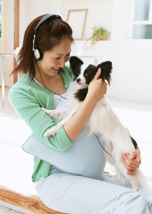 六本木で触れ合えるハリネズミカフェ