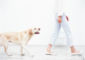 仕事終わりの癒しとしても最適です